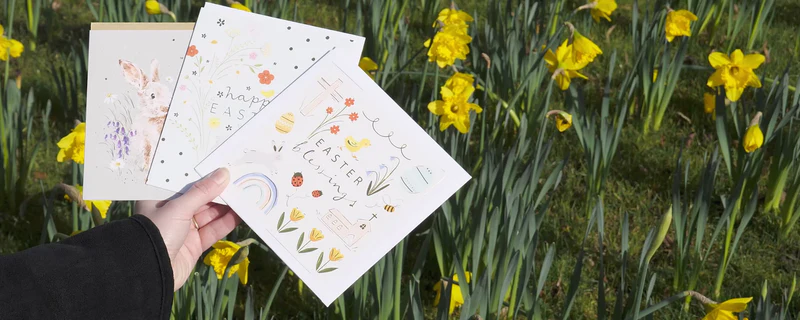 Beautiful Art for Every Moment